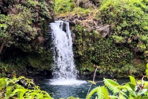 Estrada para Hana: Guia profissional, comida, natação, cachoeiras