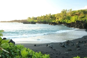 De weg naar Hana: Professionele gids, eten, zwemmen, watervallen