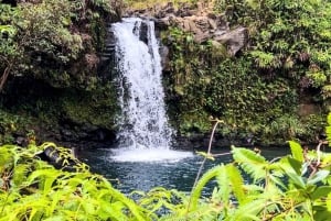 De weg naar Hana: Professionele gids, eten, zwemmen, watervallen