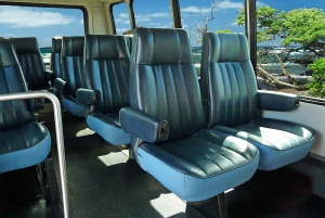 De weg naar Hana: Professionele gids, eten, zwemmen, watervallen