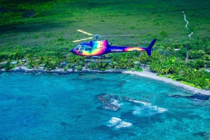 Romantisk Kona Coffee & Landing: Privat tur i helikopter