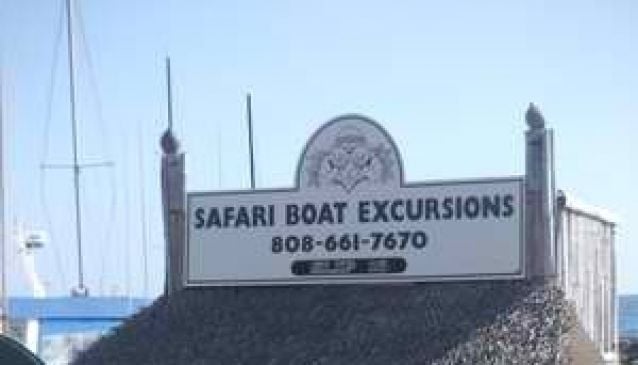 Safari Boat Excursions