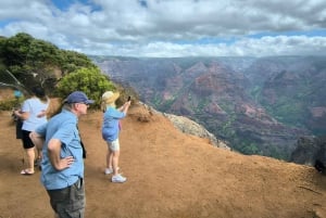 Det bästa av Kauai: Canyons & kustlinjer Tour