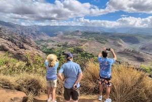 Det bästa av Kauai: Canyons & kustlinjer Tour