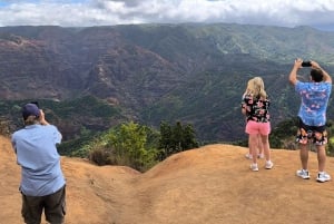 Det bästa av Kauai: Canyons & kustlinjer Tour