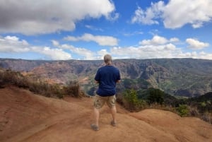 Det bästa av Kauai: Canyons & kustlinjer Tour