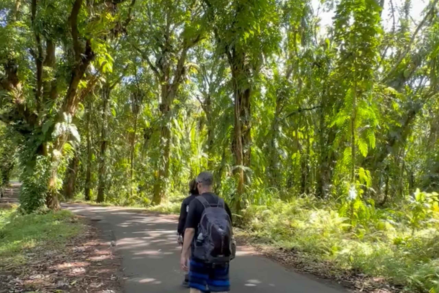 Secret Tide Pool Hike - Jungle & Coast - Private