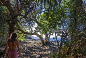 Secret Tide Pool Hike - Jungle & Coast - Private