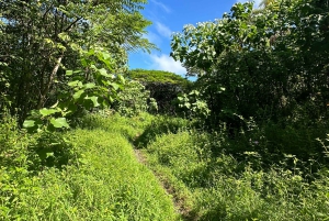 Secret Tide Pool Hike - Jungle & Coast - Private