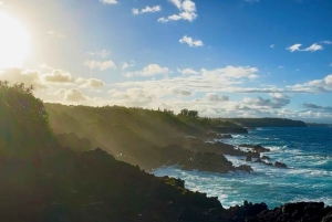 Secret Tide Pool Hike - Jungle & Coast - Private