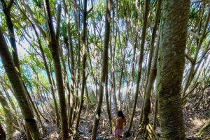 Secret Tide Pool Hike - Jungle & Coast - Private