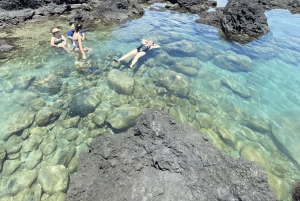 Secret Tide Pool Hike - Jungle & Coast - Private