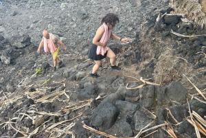 Secret Tide Pool Hike - Jungle & Coast - Private