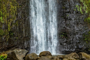 Selbst geführte Wanderung durch die Natur und zu einem Wasserfall