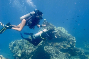 Shore Discover Scuba Diving Experience