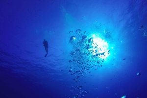 Shore Discover Scuba Diving Experience
