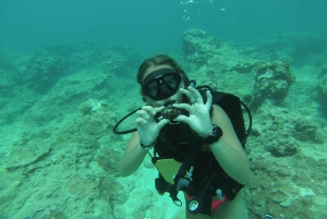 Shore Discover Scuba Diving-ervaring