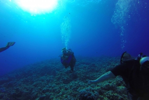Shore Discover Scuba Diving kokemus