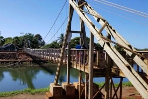 Excursion d'une journée en petit groupe sur l'île de Kauai au départ de Lihue