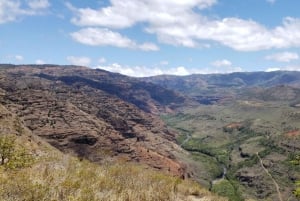 Excursion d'une journée en petit groupe sur l'île de Kauai au départ de Lihue