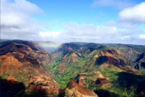 Excursion d'une journée en petit groupe sur l'île de Kauai au départ de Lihue