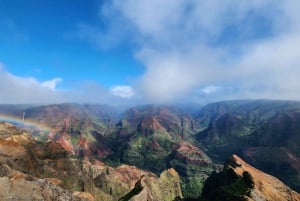 Excursion d'une journée en petit groupe sur l'île de Kauai au départ de Lihue