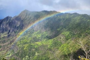 Excursion d'une journée en petit groupe sur l'île de Kauai au départ de Lihue