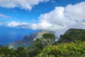 Excursion d'une journée en petit groupe sur l'île de Kauai au départ de Lihue