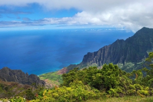 Excursion d'une journée en petit groupe sur l'île de Kauai au départ de Lihue