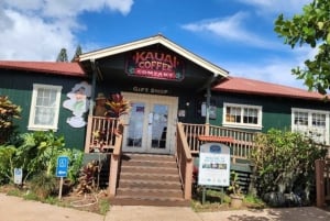 Excursion d'une journée en petit groupe sur l'île de Kauai au départ de Lihue