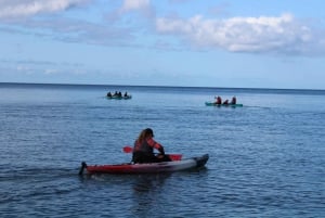 South Maui: Au'au Channel Kayak e Snorkel Adventure