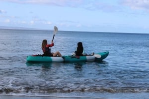Sud de Maui : Au'au Channel Kayak et plongée en apnée