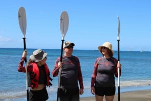 Sud de Maui : Au'au Channel Kayak et plongée en apnée