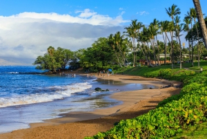Zuid Maui: Zelf begeleide autorondleiding door strandparken