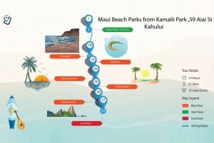 Sør-Maui: Selvguidet kjøretur til strandparkene