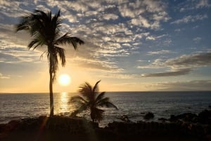 Południowe Maui: Wycieczka samochodowa z przewodnikiem po parkach plażowych