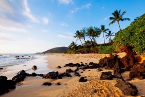 Południowe Maui: Wycieczka samochodowa z przewodnikiem po parkach plażowych