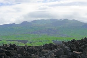 Maui Sud: Tour guidato dei parchi balneari