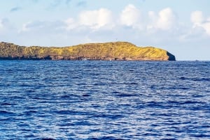 Zuid-Maui: milieuvriendelijke Molokini- en Turtle Town-tour