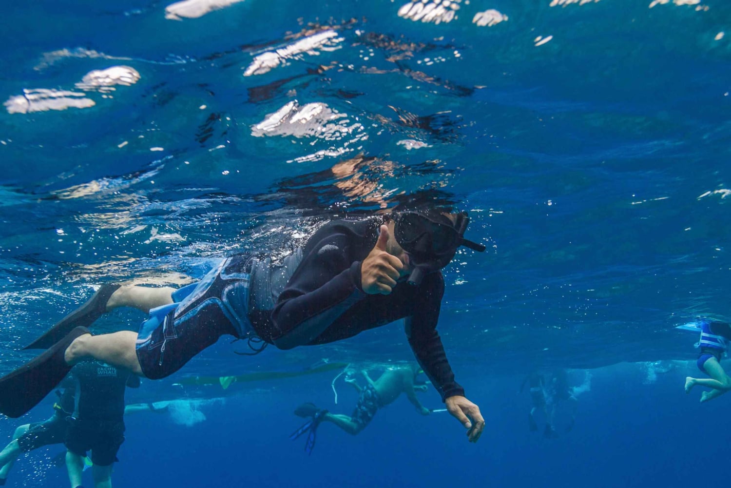 South Maui: Lanai Snorkel & Dolphin Watch from Maalaea