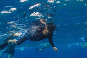Sud de Maui : Plongée en apnée et observation des dauphins à Lanai depuis Maalaea