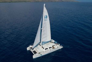 南マウイ島：マアラエア発ラナイ島シュノーケル＆イルカウォッチング