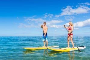 Södra Maui: Makena Bay Stand-Up Paddle Tour