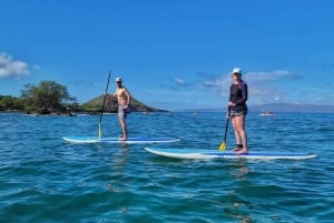 Południowe Maui: wycieczka wiosłem na stojąco po zatoce Makena Bay