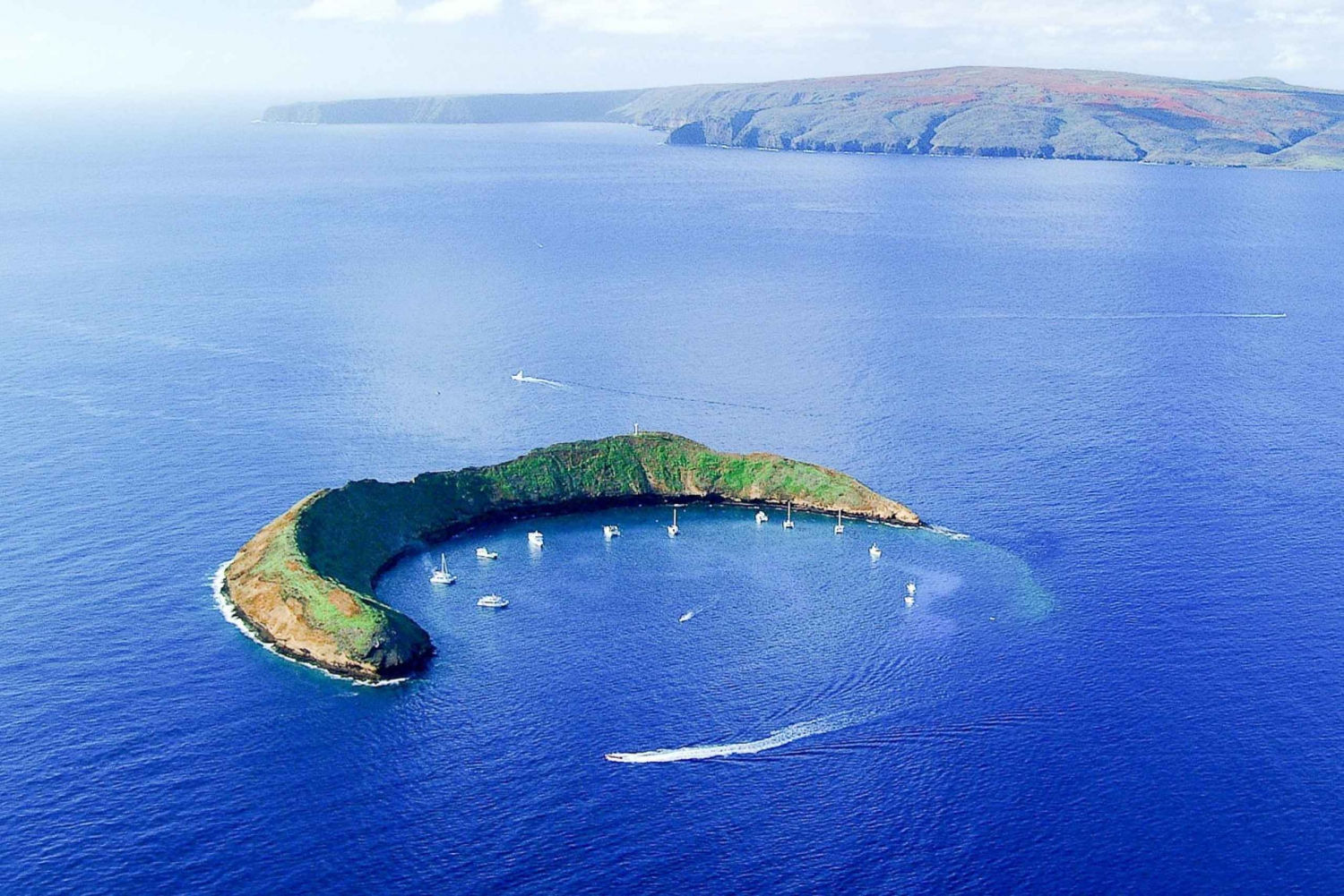Sul de Maui: Mergulho com snorkel em Molokini e Turtle Town com refeições