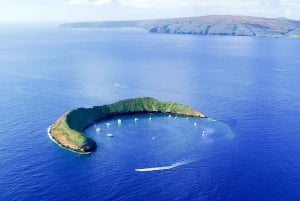 Det sydlige Maui: Molokini & Turtle Town snorkeltur med måltid