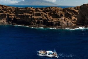 Sud de Maui : Plongée en apnée à Molokini et Turtle Town avec repas