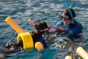 Sul de Maui: Mergulho com snorkel em Molokini e Turtle Town com refeições