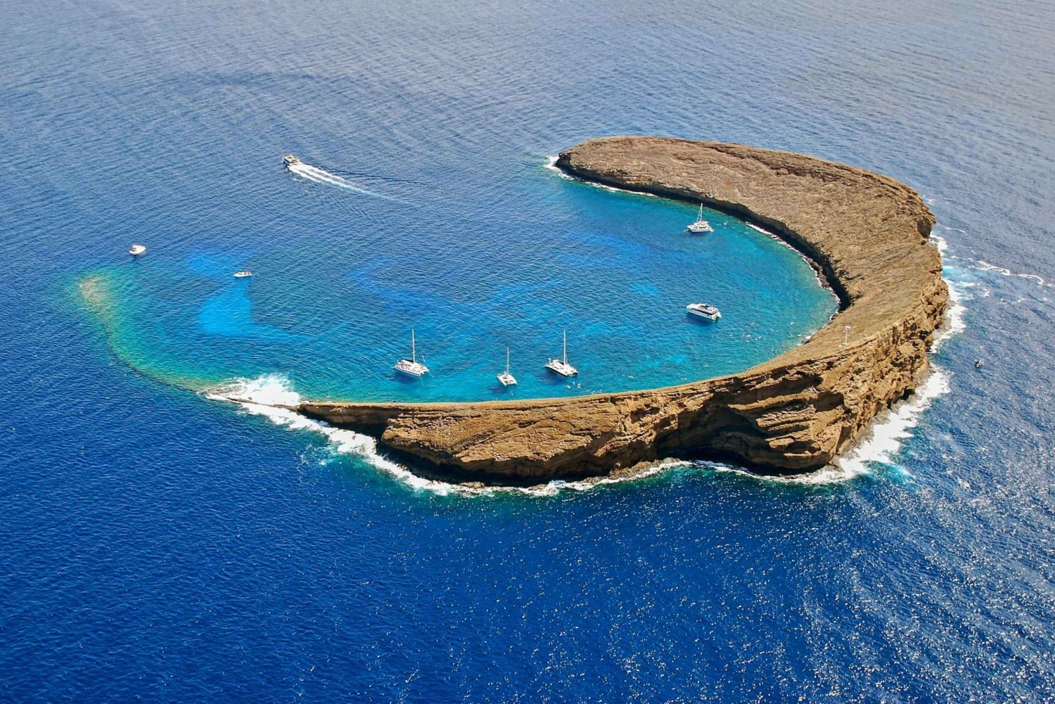 Maui: Molokini Snorkel e Performance Sail com Almoço