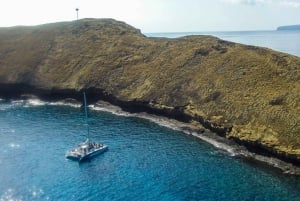 Maui: Molokini Snorkel og Performance Sail med lunsj